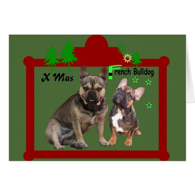 Cartão Französische Bulldoggen Weihnachtskarte (Frente Horizontal)