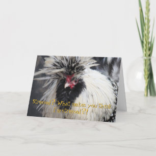 Cartão Frazzled Chicken Greeting Card