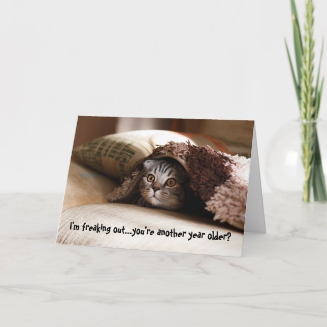 Cartão Freaking Out Kitten Cat Birthday Card (Frente)