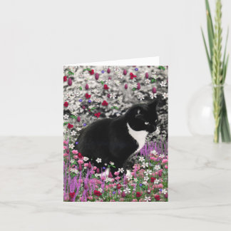 Cartão Freckles in Flowers II - Tuxedo Kitty Cat
