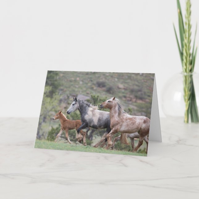 Cartão Freedom's Run II: Galloping to Freedom Greeting (Frente)