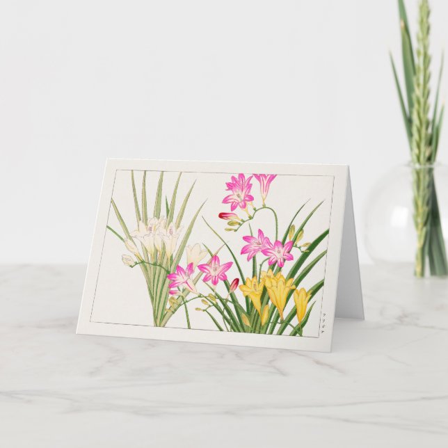 Cartão Freesia de Tanigami Konan (Frente)