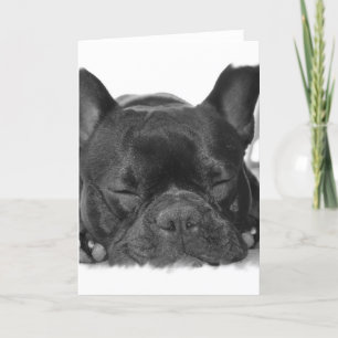 Cartão French Bulldog Greeting Card