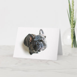 Cartão French Bulldog Puppy
