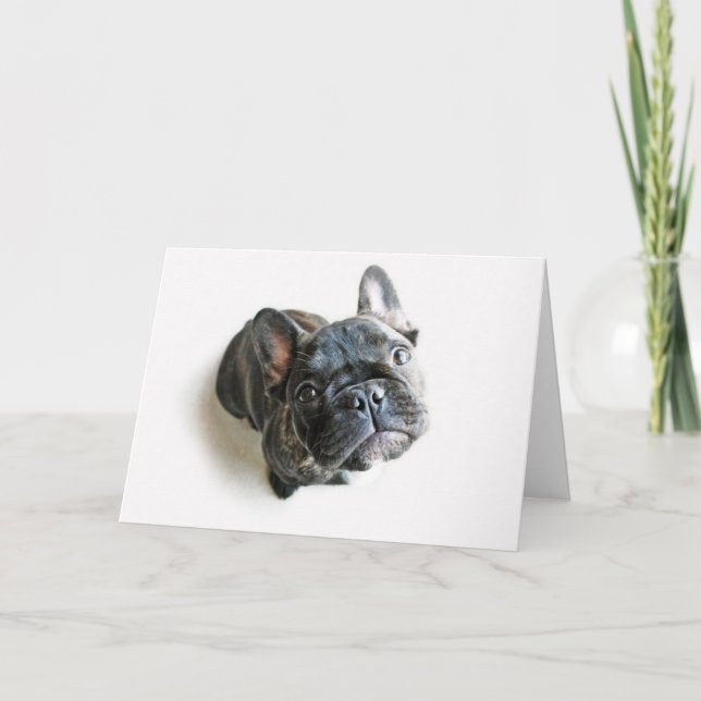 Cartão French Bulldog Puppy (Frente)