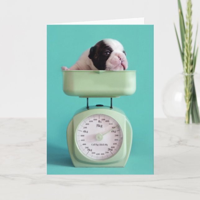 Cartão French Bulldog Puppy (Frente)