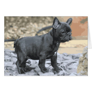 CARTÃO FRENCHIE AZUL