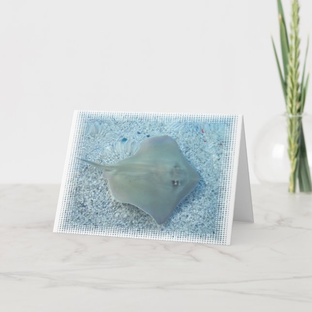 Cartão Fresh Water Stingray Greeting Card (Frente)
