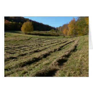 Cartão Freshly Mown Fields