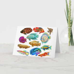 Cartão Freshwater Tropical Fishes Card