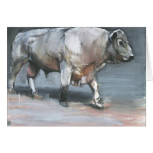 Cartão Fresno Galloway Bull