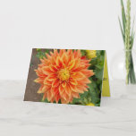 Cartão Friend Birthday card featuring colorful dahlia<br><div class="desc">There's nothing that lifts your spirits quite like walking through gardens filled with colorful blooms. Hope you enjoy the color of this magnificent dahlia. You can find more birds and more of nature at our Eyes4Nature Zazzle shop.</div>