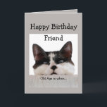 Cartão Friend Birthday Old Age Over the Hill, Cat Humor<br><div class="desc">Old age is when it takes longer to get over a good time than to have it.  Funny Over the Hill Friend Cat Birthday Humor.</div>