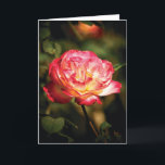 Cartão Friendly Rose<br><div class="desc">A yellow and red friendly rose for an expression for any occasion</div>