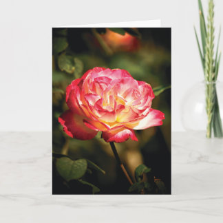 Cartão Friendly Rose