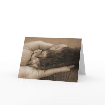 Friends and encouragement