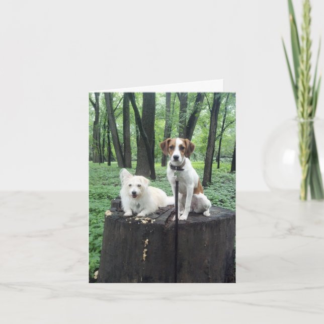 Cartão Friends Forever Card (Frente)