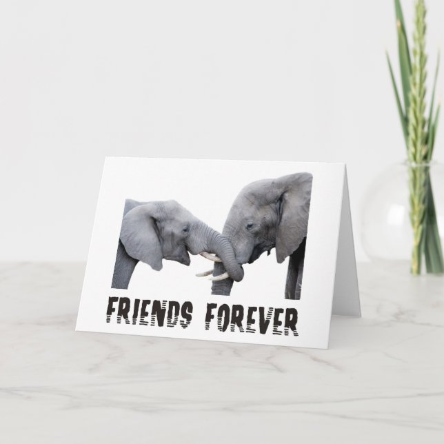 Cartão Friends Forever Elephants hugging / kissing (Frente)