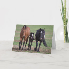 Cartão Friends - Galloping to Freedom Greeting Card