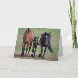 Cartão Friends - Galloping to Freedom Greeting Card