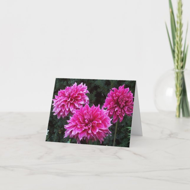 Cartão Friends Garden Blank Inside Note Cards Variety (Frente)