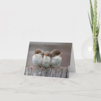 Cartão Friends Stick Together Note Cards