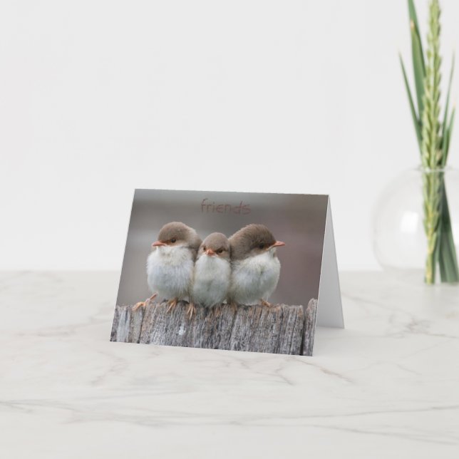 Cartão Friends Stick Together Note Cards (Frente)