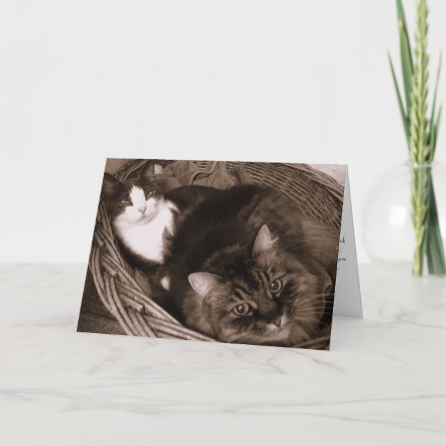 Cartão Friendship (Frente)