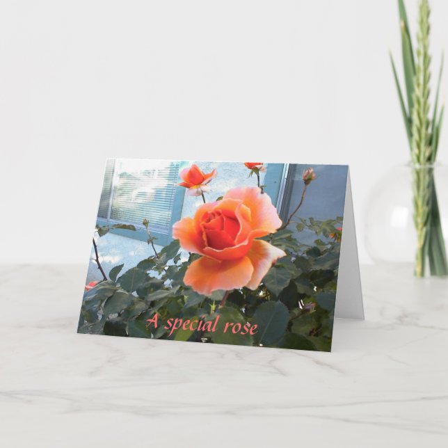Cartão Friendship card with coral rose. (Frente)