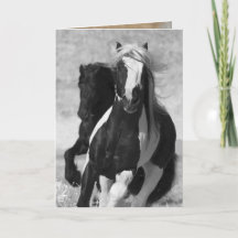 Friesian and Gypsy Run Horse Greeting Card