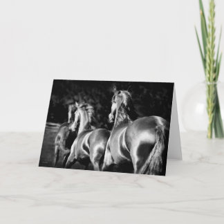 Cartão Friesian mares card
