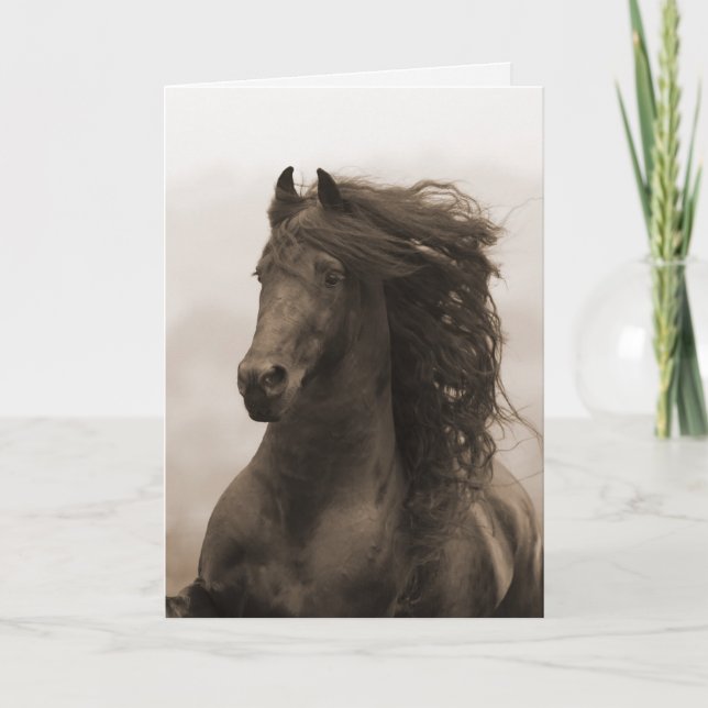 Cartão Friesian Running Horse Greeting Card (Frente)