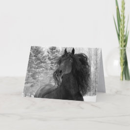 Cartão Friesian Runs in the Snow II Horse Greeting Card