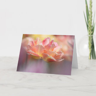 Cartão Fringed Pink Tulip