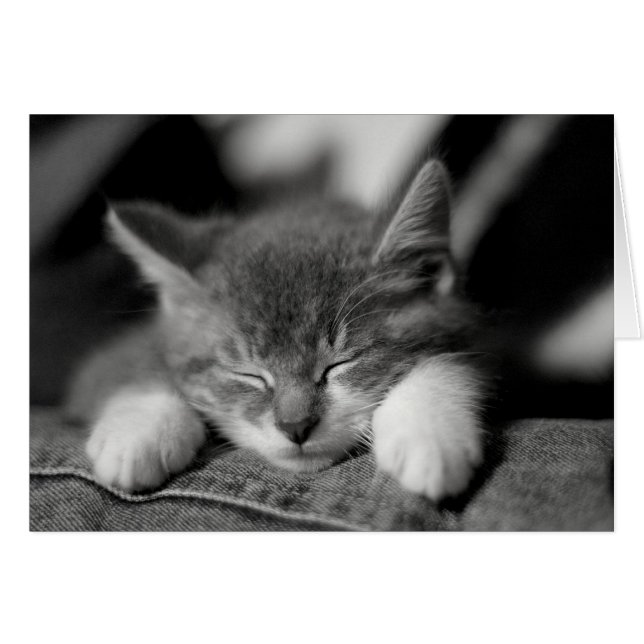 Cartão Frisco (Frente Horizontal)