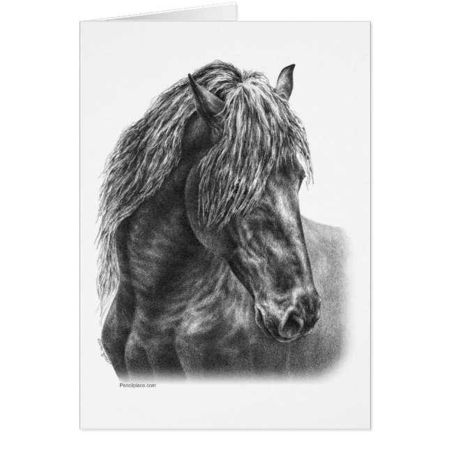 Cartão Frísia Horse Retrait Wavy Mane (Frente)