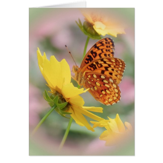 Cartão Fritillary World (Frente)