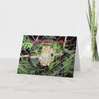 Cartão Frog-hang in there