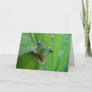 Cartão Frog Photo Greeting Card