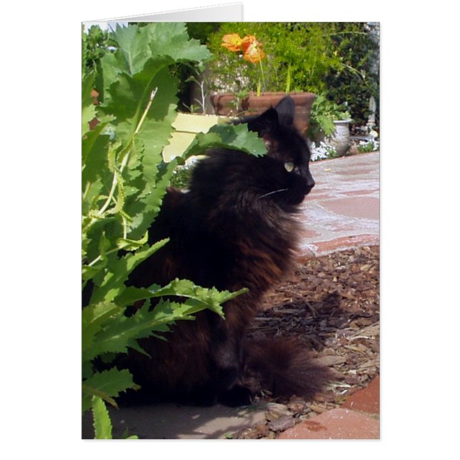 Cartão frondoso de Madeleine (Frente)