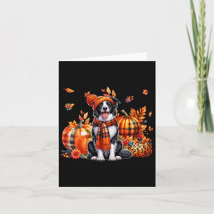 Cartão Fronteira Collie Ação de Graças Leopard Pumpkins C
