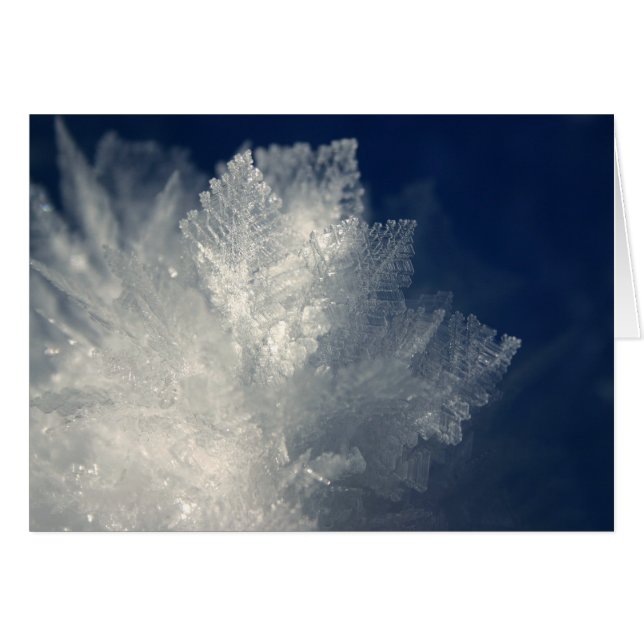 Cartão Frost (Frente Horizontal)