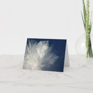 Cartão Frost