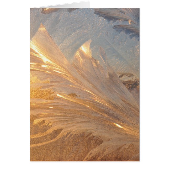 Cartão Frost de inverno em vidro (Frente)