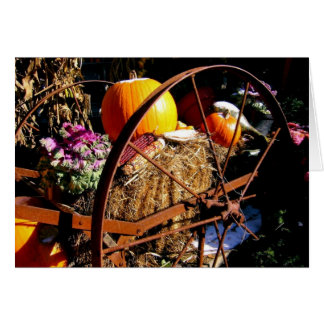 Cartão Frost On Pumpkin