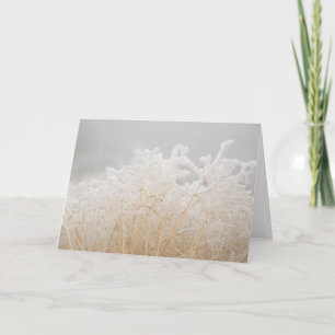 Cartão Frosted Winter Grasses
