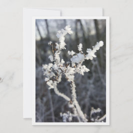 Cartão  „Frostpoesie – Einladung mit Raureif-Zweig“