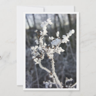 Cartão  „Frostpoesie – Einladung mit Raureif-Zweig“