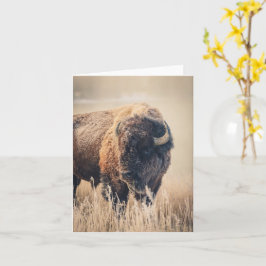 Cartão Frosty Morning - 4" x 5.6" Notecard