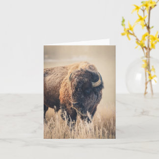 Cartão Frosty Morning - 4" x 5.6" Notecard